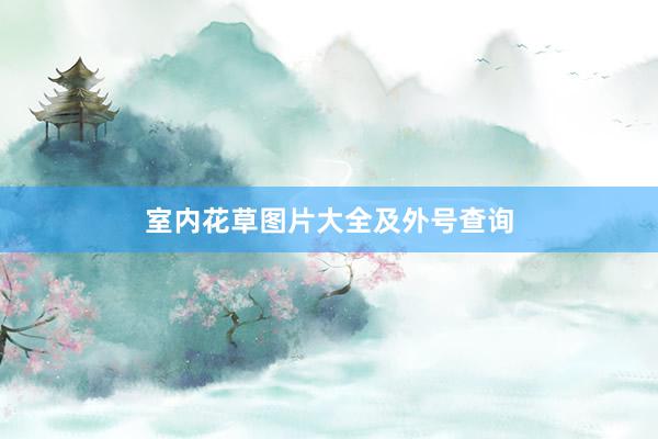 室内花草图片大全及外号查询