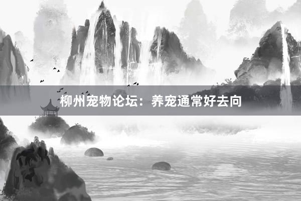 柳州宠物论坛：养宠通常好去向