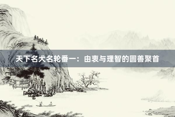 天下名犬名轮番一：由衷与理智的圆善聚首