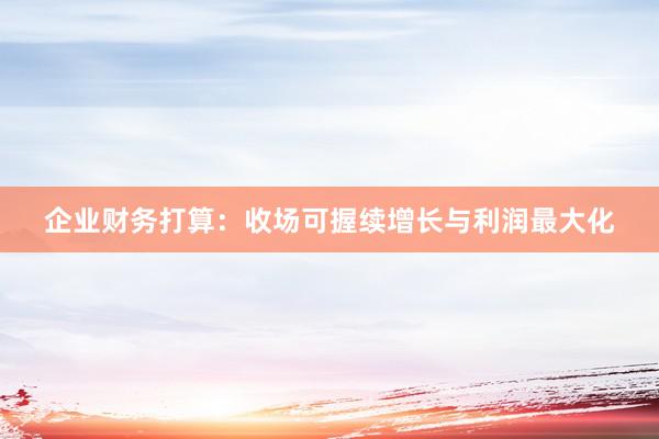 企业财务打算：收场可握续增长与利润最大化